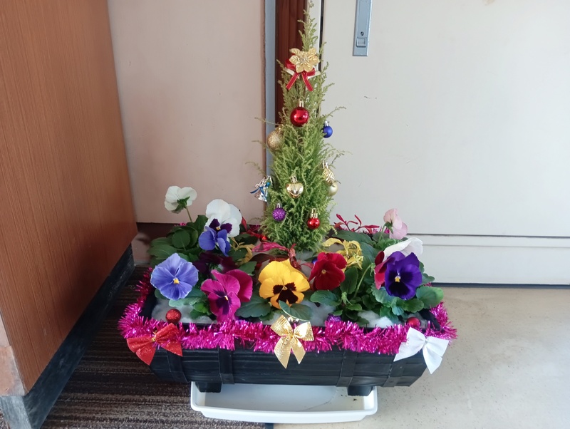 1000002588 1000002588