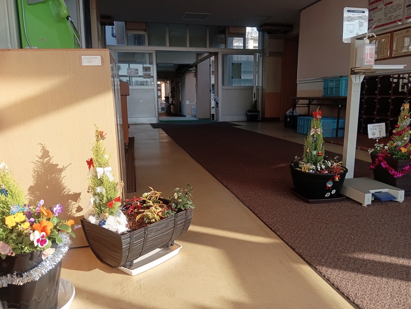 1000002595 1000002595