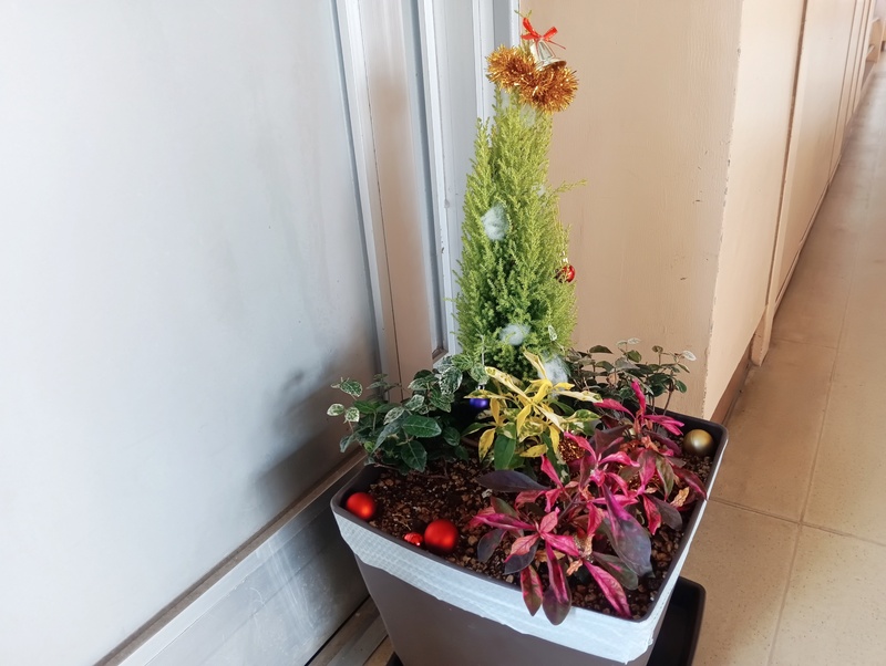 1000002599 1000002599