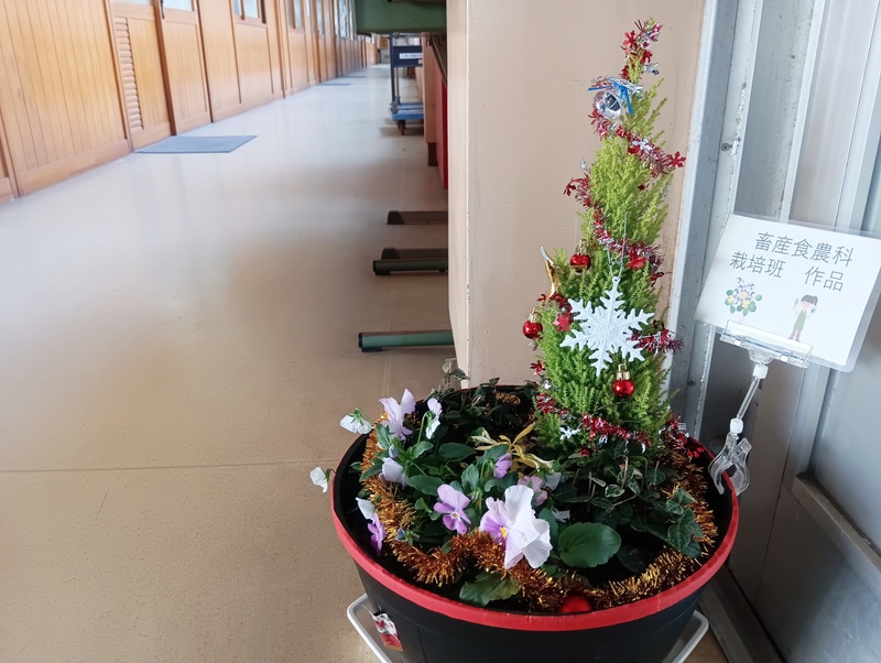 1000002600 1000002600